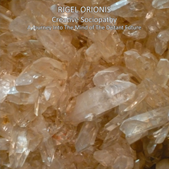 Rigel Orionis - Creative Sociopathy CD Cover